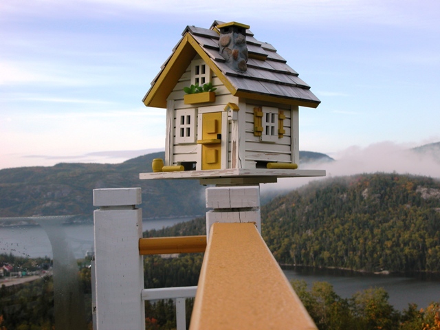 Bird House Bird House